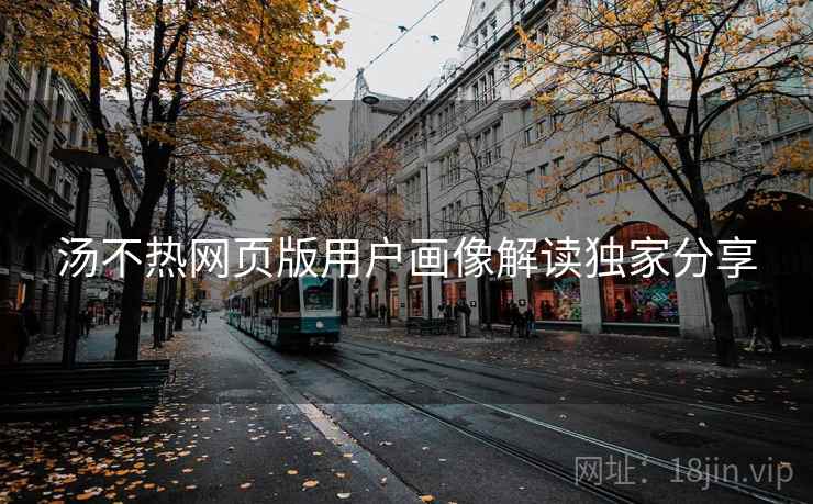 汤不热网页版用户画像解读独家分享