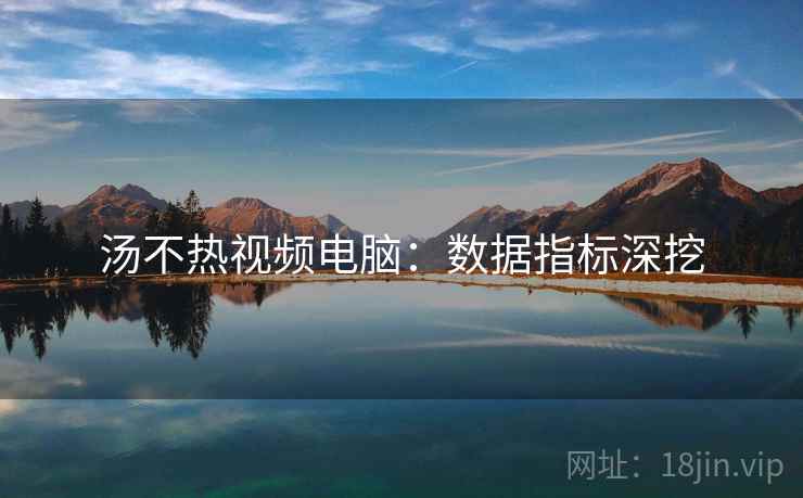 汤不热视频电脑：数据指标深挖