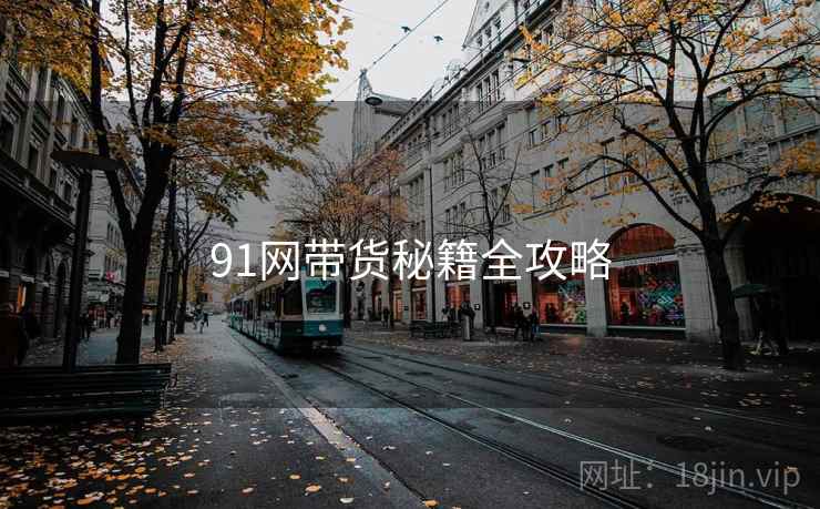 91网带货秘籍全攻略